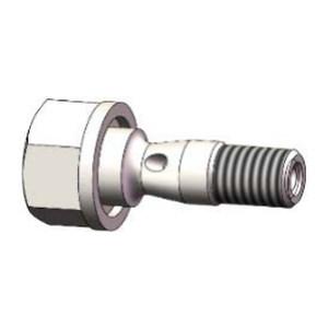 Hollow Screw