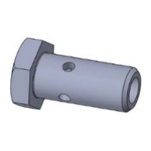Hollow Screw