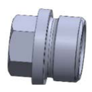 Plug Screw