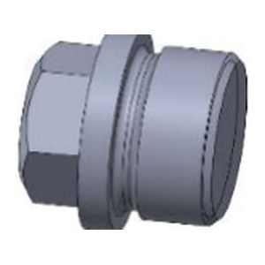 Plug Screw